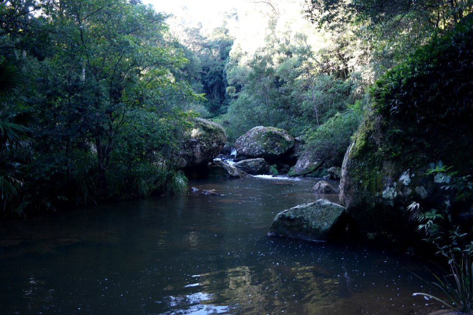 Macquarie Rivulet, Macquarie Pass National Park, New South Wales, Australia 33