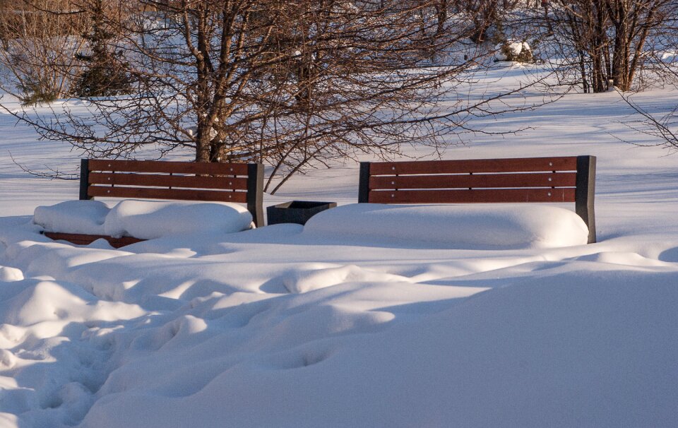 Snow winter snowy landscape