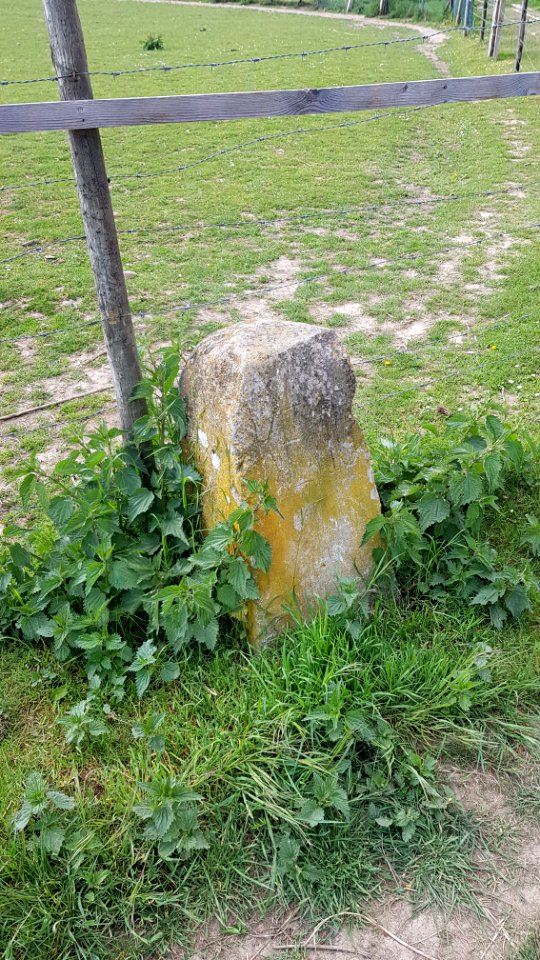 Maastricht-Vroenhoven-Grenspaal 81b (BE-NL) (4)