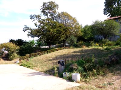 Lyon 5e - Chemin de Montauban - Couvent des Carmes déchaussés, jardins (12)