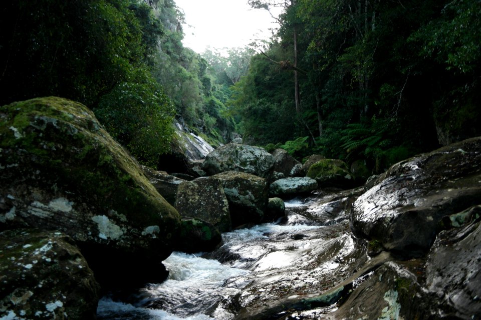 Macquarie Rivulet, Macquarie Pass National Park, New South Wales, Australia 60
