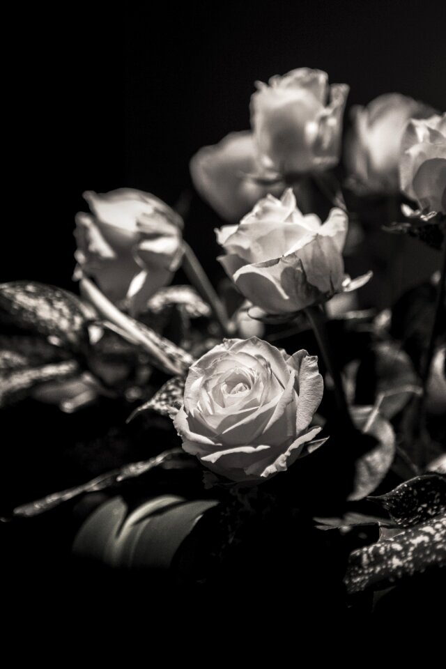 White black bouquet