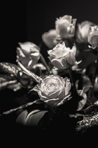 White black bouquet