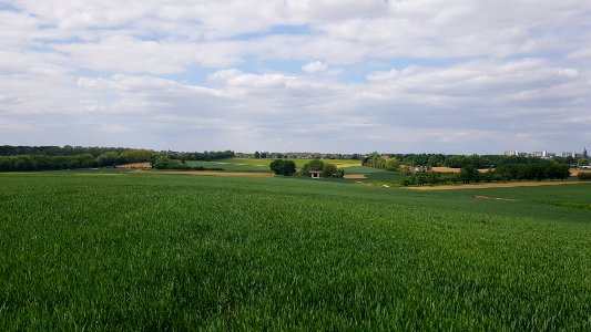 Maastricht-Vroenhoven-Grenspaal 75a (BE-NL) (2)