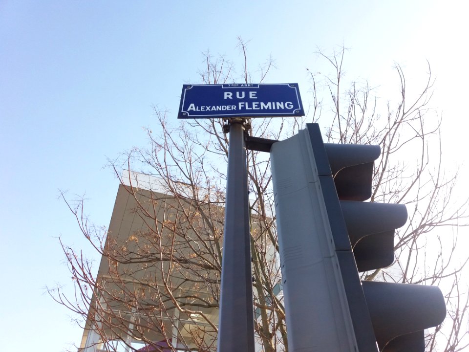Lyon 7e - Rue Alexander Fleming, plaque
