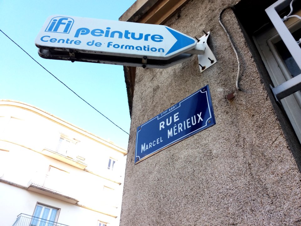 Lyon 7e - Rue Marcel Mérieux, plaque