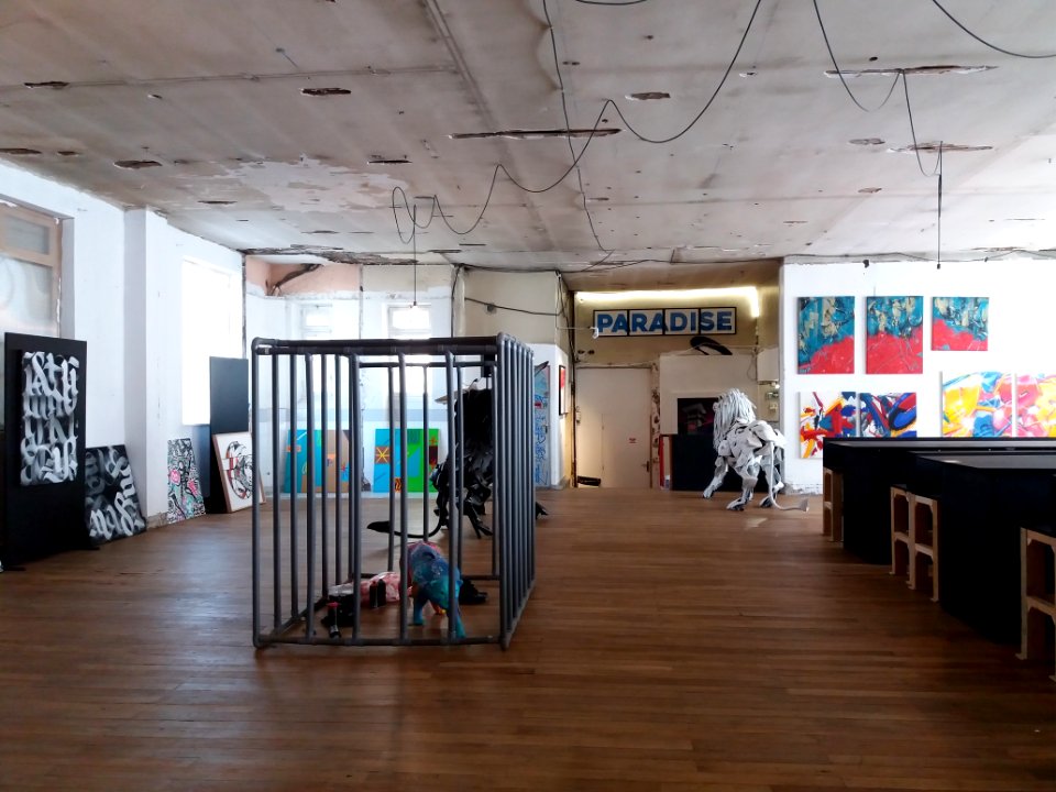 Lyon 6e - Rue de Créqui, Zoo Art Show 2, dernier étage