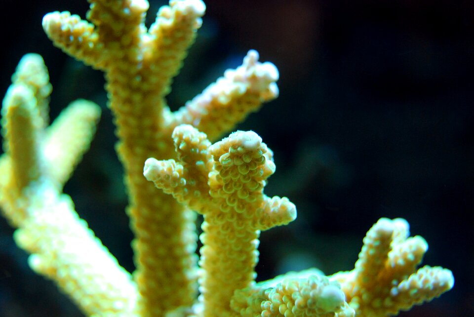 Sea underwater water