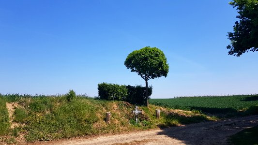 Mesch-wegkruis Voerenweg-Steenbergsweg (4)