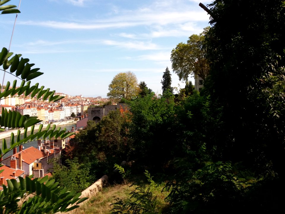 Lyon 5e - Chemin de Montauban - Couvent des Carmes déchaussés, jardins (10)