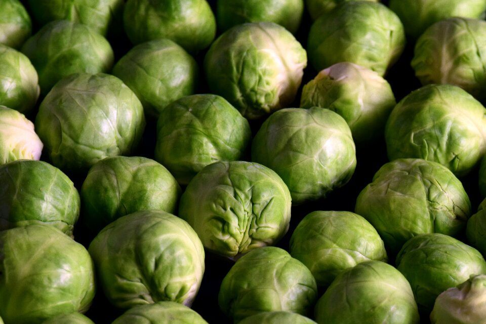 Healthy winter vegetables background