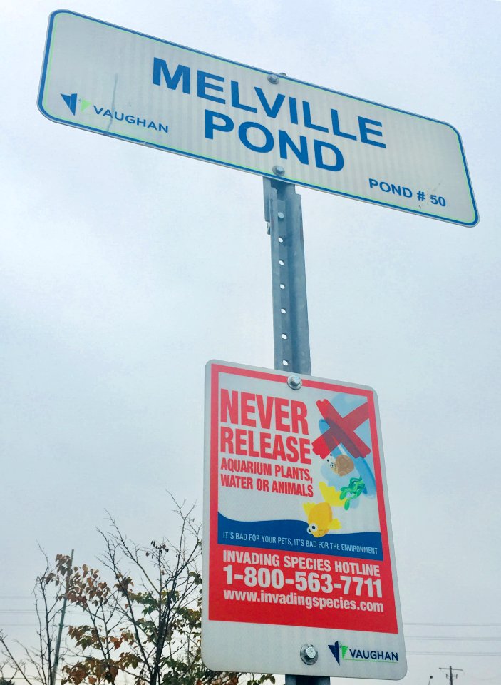 Melville Pond Invasive Species Sign