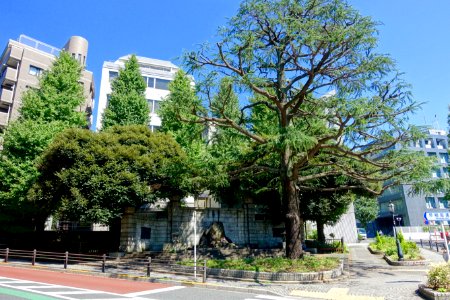 Memorial - Chiyoda, Tokyo, Japan - DSC04786