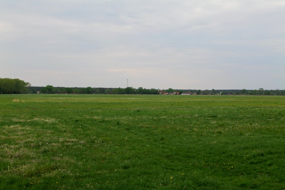 Meadow in Sommerfeld 2020-05-10 03