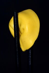 Close up filled stuffed pasta