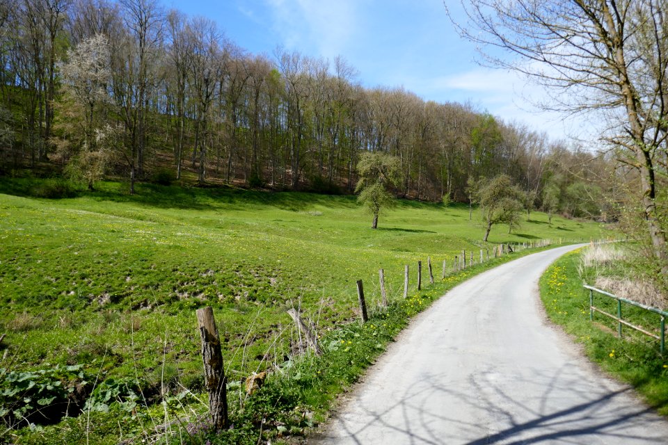 Meiste - Aschental - 6