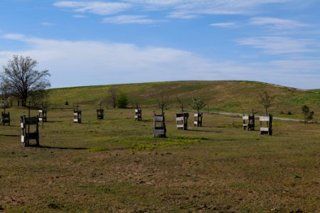 Meadow in Zossen 2021-05-09 10