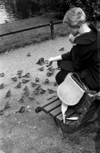 Meisje voert vogels in het Vondelpark, Bestanddeelnr 912-9309