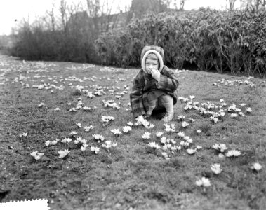 Meisje tussen crocussen, Bestanddeelnr 911-0566
