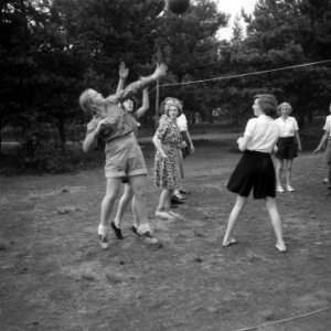 Meisjes spelen volleybal, Bestanddeelnr 904-0969