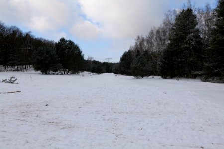 Meadow Fichtewiese Erlengrund Spandauer Forst with snow 2021-02-10 07