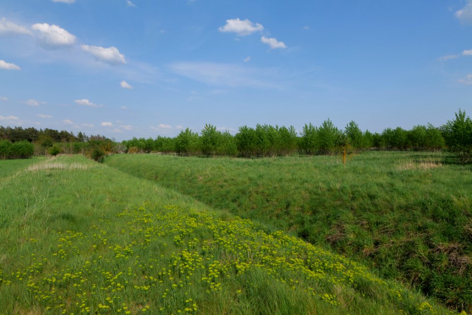 Meadow in Ragow 2021-05-11 10