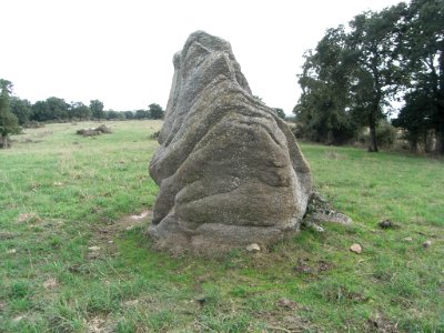 Menhir dit la pierre levée de Charbonneau 01