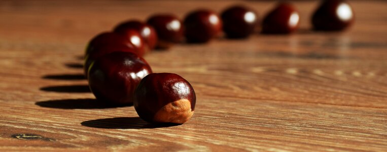 Chestnuts autumn brown