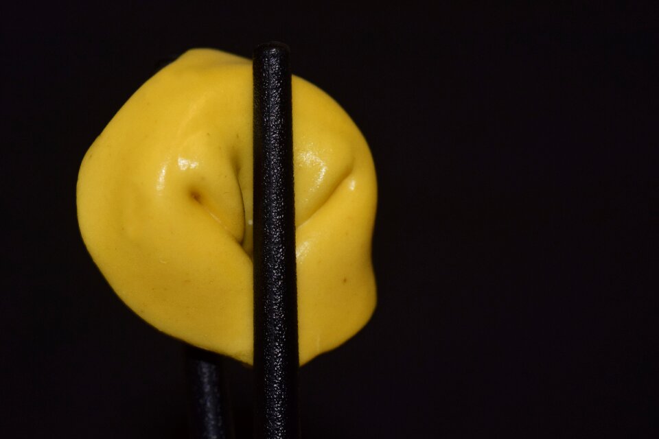Close up filled stuffed pasta