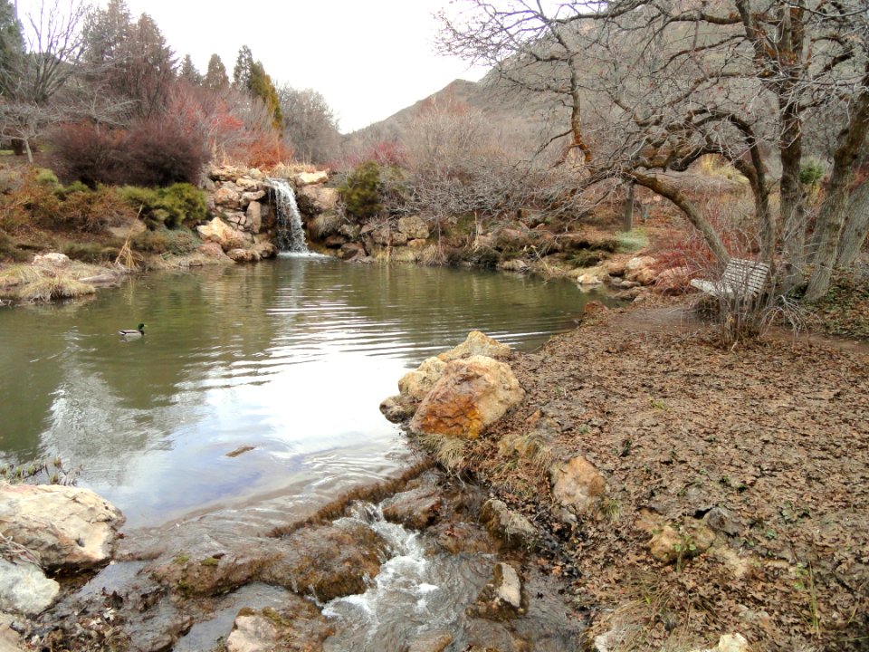 March vista - Red Butte Garden and Arboretum - DSC07500