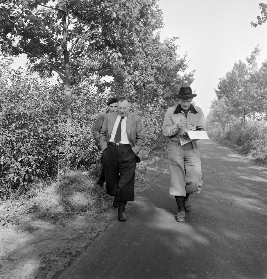 Mannen, wegen, bomen, wandelen, papieren, Bestanddeelnr 251-7269
