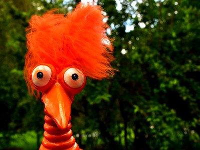 Funny weird bird cute