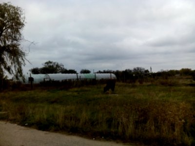 MatrosovkaCr 4