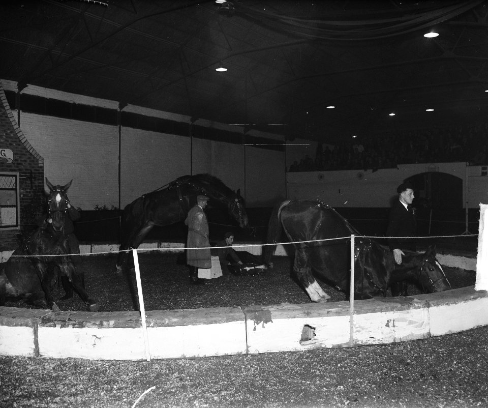 Manege Alblasserdam, Bestanddeelnr 903-2346
