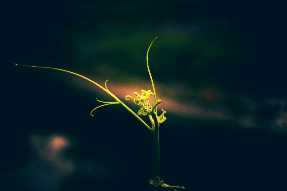 Wallpaper nature blue simple