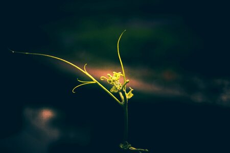 Wallpaper nature blue simple