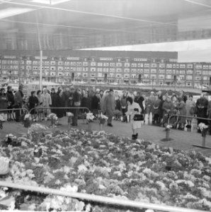 Mensen leggen bloemen bij RAI-gebouw voor de overleden president Kennedy, Bestanddeelnr 915-7803