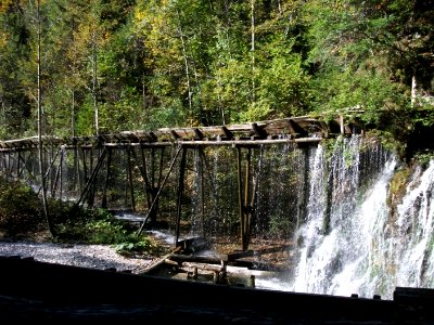 Mendlingtal 1