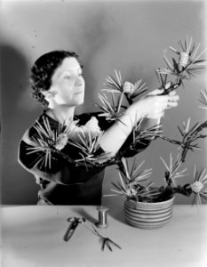 Marie Chauvel aan het werk aan een glazen plant, Bestanddeelnr 190-0841