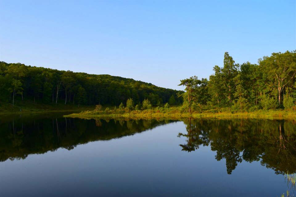 Trees blue water photo