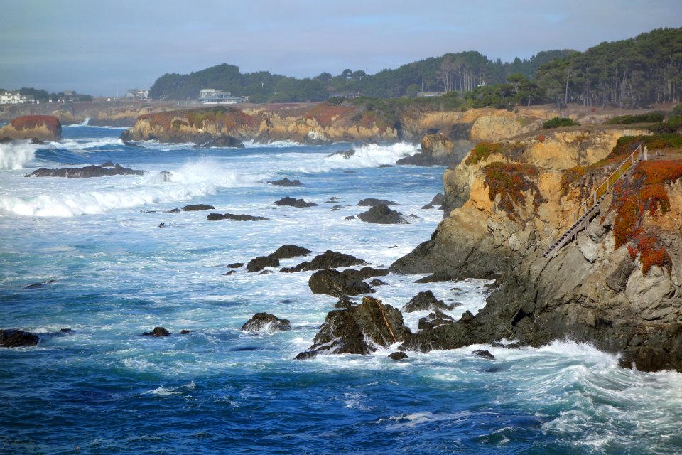Ocean view - Mendocino Coast Botanical Gardens - DSC02145
