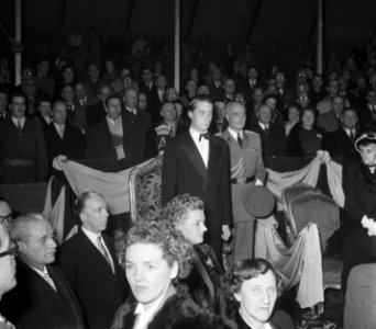 Opdrachten Circus Mikkenie Brussel, Bestanddeelnr 905-4920