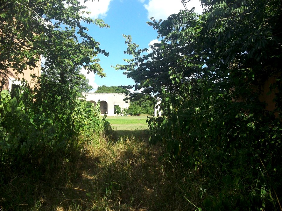 Nohchán, Yucatán (07)
