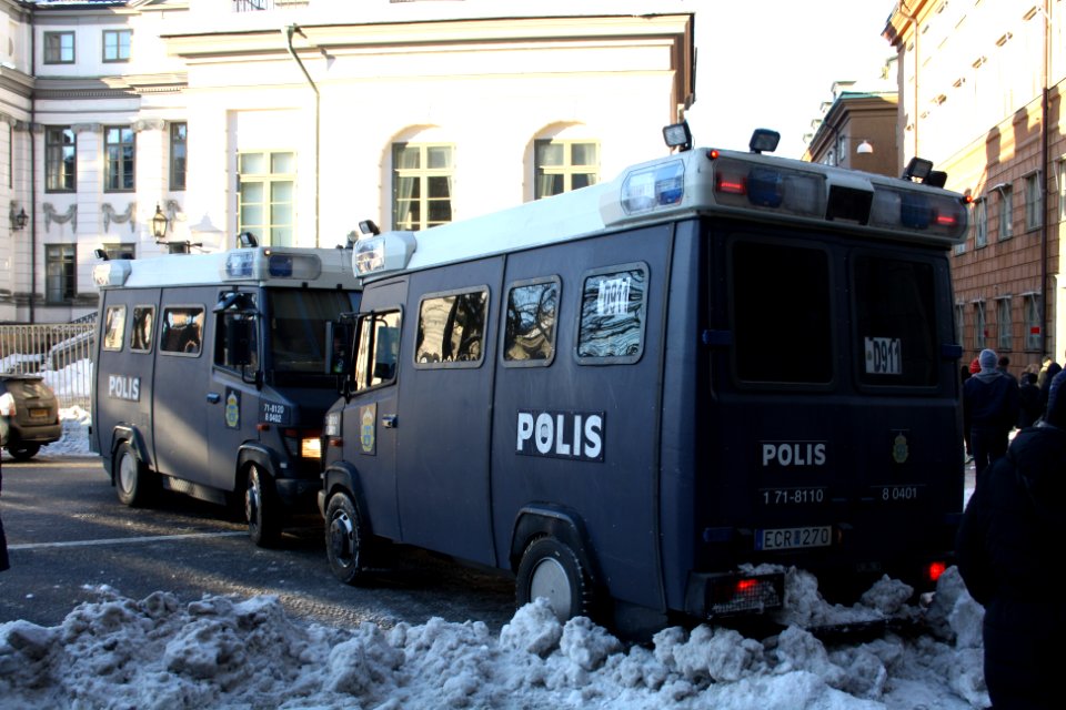Nordiska Motståndsrörelsen Demonstration 2016 41