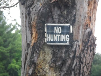 No Hunting Sign 1 photo