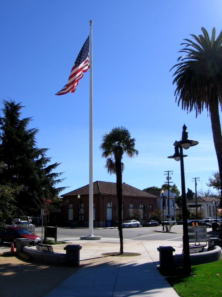 Niles Town Plaza flag 2671