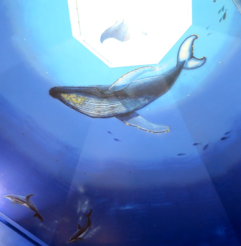 Ocean's Sanctuary mural painted by Robert Wyland II