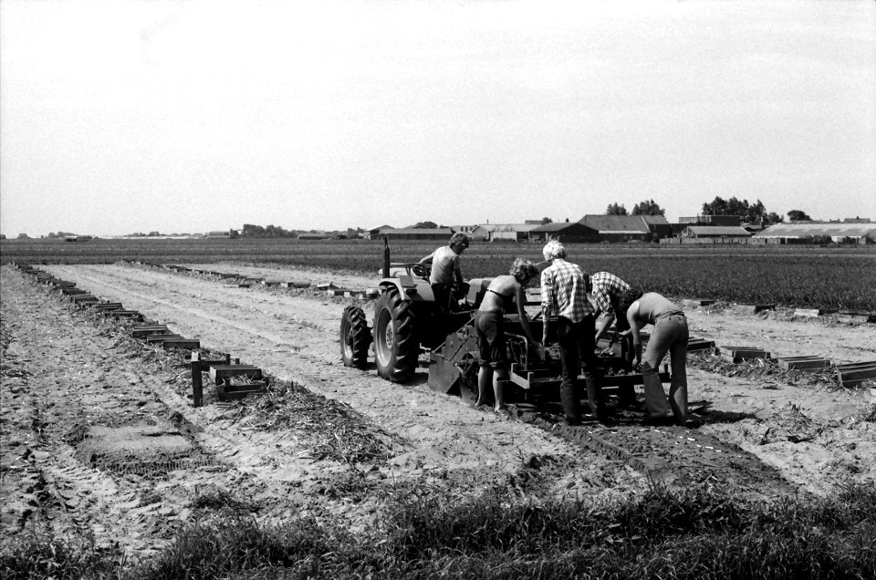Noord-Hollands Archief, Collectie Fotoburo de Boer, NL-HlmNHA 1478 14686 K 14