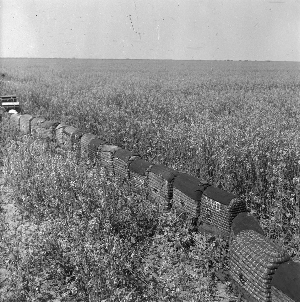 Noordoostpolder, Bestanddeelnr 901-7371