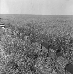 Noordoostpolder, Bestanddeelnr 901-7371